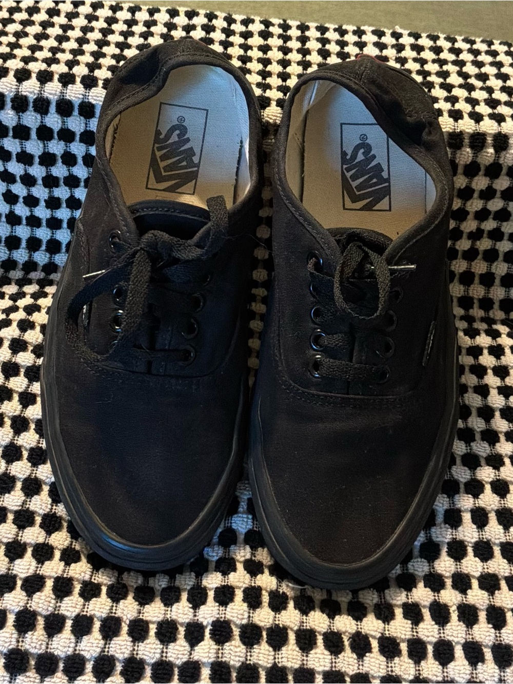 Vans Black Low Top Canvas Sneakers